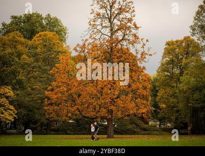 Scene autunnali all'Euromast Park, Rotterdam, Paesi Bassi, Un paio di passeggiate all'Euromast Park, circondato da un colorato paesaggio autunnale, Rotterdam, Paesi Bassi, il 18 ottobre 2024. Hedayatullah Amid / Rotterdam Paesi Bassi Copyright: XMatrixxImagesx/xHedayatullahxAmidx Foto Stock