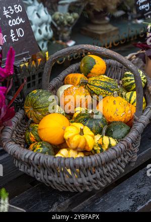 Splendido e vivace cestino di frutta sul fronte del negozio. Foto Stock