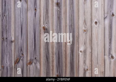 Una vista ravvicinata delle tavole di recinzione in legno intemperie mostra varie sfumature di grigio e marrone, con nodi visibili e. Foto Stock
