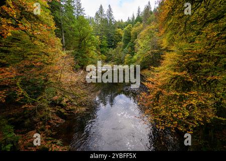 Una piscina sul fiume Braan che attraversa l'Hermitage, Dunkeld, Scozia, Regno Unito, Regno Unito. Foto Stock