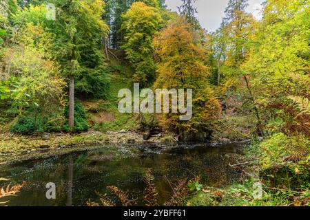 Una piscina sul fiume Braan che attraversa l'Hermitage, Dunkeld, Scozia, Regno Unito, Regno Unito. Foto Stock