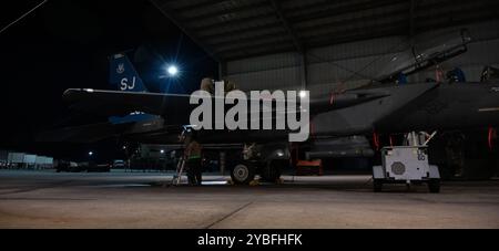 Gli aviatori della U.S. Air Force assegnati al 334th Fighter Generation Squadron eseguono la manutenzione di un F-15E Strike Eagle durante l'evento "Super Nights" alla Seymour Johnson Air Force base, North Carolina, 10 ottobre 2024. L'evento si è concentrato sul miglioramento della preparazione facilitando il lancio di sortite notturne per l'addestramento degli F-15E Strike Eagle, supportando gli equipaggi del 333rd e del 334th FS. (Foto U.S. Air Force di Airman First Class Megan Cusmano) Foto Stock