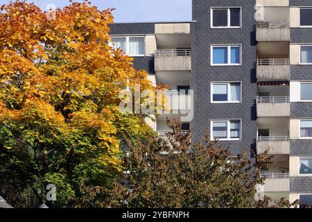 Herbst in der Stadt Laubbäume im dicht bebauten Siedlungsraum, Die im farbigen Laub leuchten Essen Nordrhein-Westfalen Deutschland *** Autunno in città alberi decidui in aree urbane densamente edificate che brillano di fogliame colorato Essen Renania settentrionale-Vestfalia Germania Foto Stock