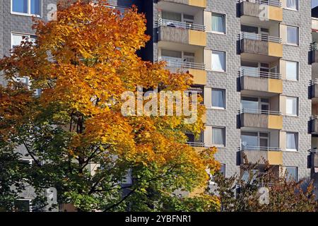 Herbst in der Stadt Laubbäume im dicht bebauten Siedlungsraum, Die im farbigen Laub leuchten Essen Nordrhein-Westfalen Deutschland *** Autunno in città alberi decidui in aree urbane densamente edificate che brillano di fogliame colorato Essen Renania settentrionale-Vestfalia Germania Foto Stock