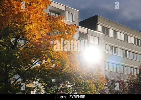 Herbst in der Stadt Laubbäume im dicht bebauten Siedlungsraum und im gleißenden Sonnenlicht das in den Fenstern reflektiert. Essen Nordrhein-Westfalen Deutschland *** Autunno in città alberi decidui in una zona residenziale densamente edificata e nella luce solare che si riflette nelle finestre di Essen Renania settentrionale-Vestfalia Germania Foto Stock