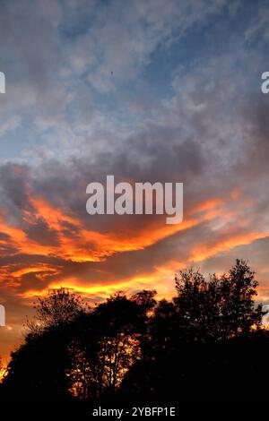 Tagesende und Sonnenuntergänge Ein roter, leuchtender Sonnenuntergang im Herbst nach einem außergewöhnlich Warmen Tag im Oktober. Essen Nordrhein-Westfalen Deutschland *** fine giornata e tramonti Un tramonto rosso e luminoso in autunno dopo una giornata eccezionalmente calda in ottobre Essen Renania settentrionale-Vestfalia Germania Foto Stock