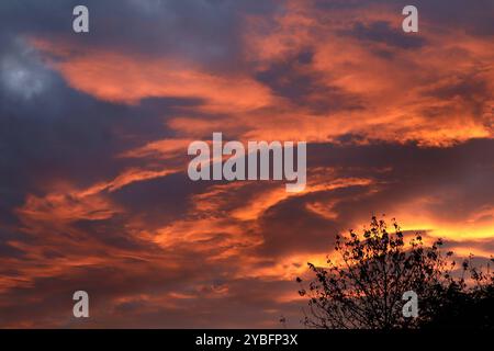 Tagesende und Sonnenuntergänge Ein roter, leuchtender Sonnenuntergang im Herbst nach einem außergewöhnlich Warmen Tag im Oktober. Essen Nordrhein-Westfalen Deutschland *** fine giornata e tramonti Un tramonto rosso e luminoso in autunno dopo una giornata eccezionalmente calda in ottobre Essen Renania settentrionale-Vestfalia Germania Foto Stock