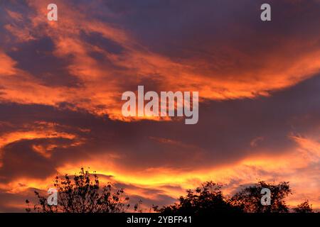 Tagesende und Sonnenuntergänge Ein roter, leuchtender Sonnenuntergang im Herbst nach einem außergewöhnlich Warmen Tag im Oktober. Essen Nordrhein-Westfalen Deutschland *** fine giornata e tramonti Un tramonto rosso e luminoso in autunno dopo una giornata eccezionalmente calda in ottobre Essen Renania settentrionale-Vestfalia Germania Foto Stock