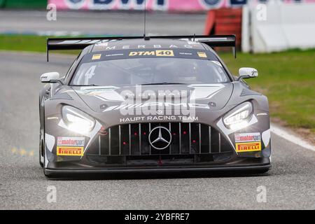 Hockenheim, Germania. 18 ottobre 2024. Jules Gounon (E Mercedes, Haupt Racing Team), 18.10.2024, Hockenheim (Deutschland), Motorsport, DTM, finale Hockenheimring 2024 credito: dpa/Alamy Live News Foto Stock