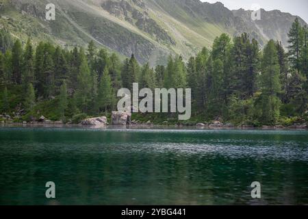 Due grandi rocce che si riflettono nelle tranquille acque del lago Saoseo, circondate da lussureggianti alberi della foresta alpina Foto Stock