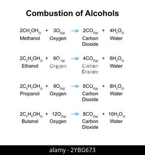 Combustione di alcol, illustrazione. Foto Stock