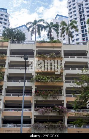 Piante, palme sul tetto, complesso di appartamenti, edificio residenziale, quartiere Bukit Merah Singapore Foto Stock
