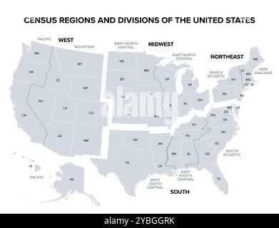 Stati Uniti d'America, regioni e divisioni del censimento, mappa politica grigia. Mappa degli Stati Uniti con 4 regioni principali, 9 divisioni, 50 stati e D.C. Foto Stock
