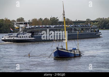 La nave da carico Forenso, sul Reno vicino a Rees, porta le e-car Ford Explorer dallo stabilimento Ford di Colonia ai porti marittimi del Netherlan Foto Stock