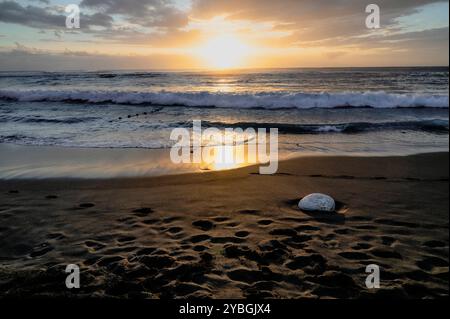 Tramonto sulla spiaggia vulcanica di l'Etang salé, isola di Reunion, Francia Foto Stock