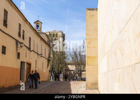 Zamora, Spagna, 7 aprile 2023: Scena di strada nel centro storico della città. Castiglia e León, Europa Foto Stock