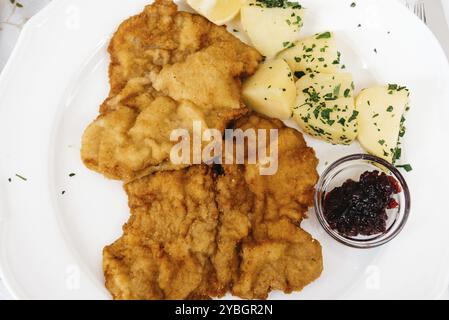 Chiusura del Wiener Schnitzel sulla piastra bianca nel ristorante, vista dall'alto Foto Stock