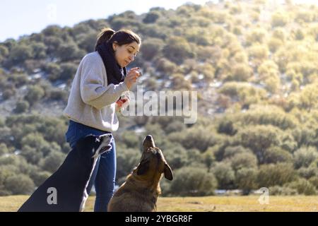 Ritratto di una giovane donna che si sta allenando e regalando un regalo ai suoi cani per strada Foto Stock