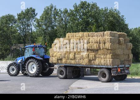 Trattore blu con vecchio carro agricolo con balle di paglia rettangolari piane impilate in un allevamento di bestiame nei Paesi Bassi Foto Stock