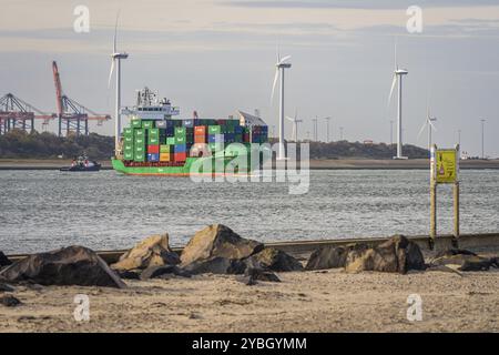 Europort, Porto di Rotterdam, Olanda meridionale, Paesi Bassi, 15 novembre, 2022: una nave da carico che passa davanti all'ingresso del porto Foto Stock