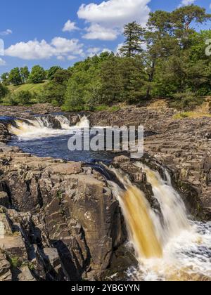 La cascata Low Force presso Bowlees, contea di Durham, Inghilterra, Regno Unito Foto Stock