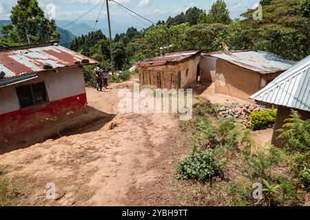 Un gruppo di escursionisti che camminano in mezzo a una fattoria della tribù Wasambara sui monti Usambara, Lushoto nella regione di Tanga, Tanzania Foto Stock