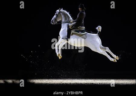 SOLO PER USO EDITORIALE i Lipizzaners si esibiscono durante la serata di apertura del tour della scuola di equitazione spagnola all'OVO Arena di Wembley. Data di pubblicazione: Sabato 19 ottobre 2024. Foto Stock