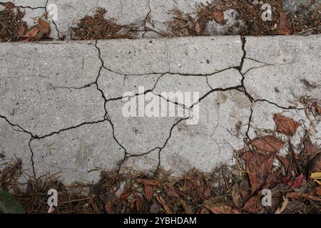 Un'incrinatura nelle scale, che mostra segni di usura ed età, serve come promemoria del tempo e dell'utilizzo. Foto Stock