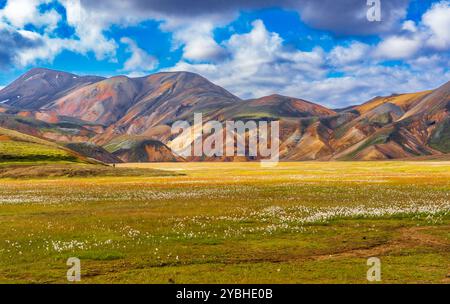 Montagne colorate riolite a Landmannalaugar Foto Stock