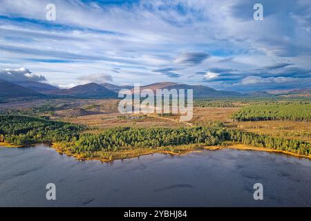 Parco nazionale di Loch Morlich Cairngorm sulla costa autunnale con abeti e vista su Cairngorms Foto Stock