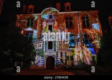 Francia, Cher (18), Bourges, illuminazione durante Les nuits lumières de Bourges, hotel Lallement, Musée des arts décoratifs Foto Stock