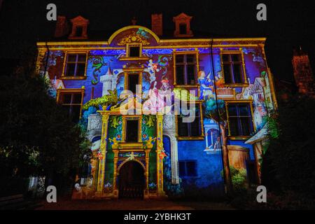 Francia, Cher (18), Bourges, illuminazione durante Les nuits lumières de Bourges, hotel Lallement, Musée des arts décoratifs Foto Stock