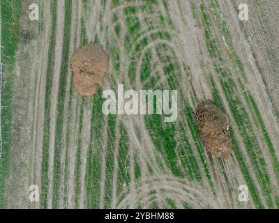 Fotografie con droni che mostrano i motivi geometrici lasciati dai veicoli agricoli che guidano su un campo, creando linee e cerchi nell'erba Foto Stock