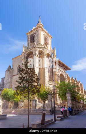 St. James Way; Chiesa di Santa María, Viana, Navarra, Spagna Foto Stock