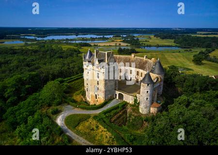 Francia, Indre (36), le Berry, Brenne, parco naturale, castello di Bouchet Foto Stock