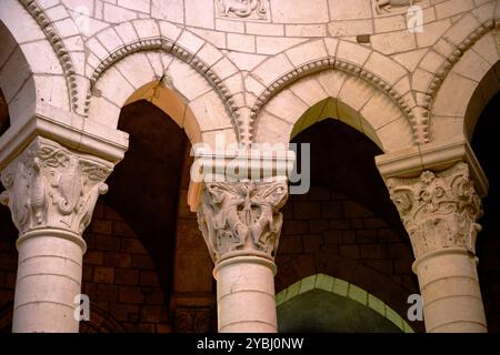 Francia, Nièvre (58), la Charité-sur-Loire, Via di Saint-Jacques-de-Compostelle, Chiesa di Notre-Dame, Valle della Loira Foto Stock