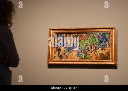 Amsterdam, Paesi Bassi. 2 dicembre 2022. Scatta foto di dipinti di Van Gogh. Foto di alta qualità Foto Stock