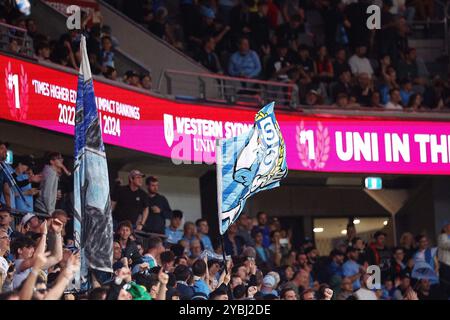 19 ottobre 2024; CommBank Stadium, Sydney, NSW, Australia: A-League Football, WESTERN Sydney Wanderers contro Sydney FC; i tifosi del Sydney FC celebrano il loro gol di apertura al 17 ° minuto Foto Stock