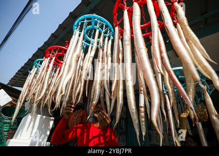 Le vesciche del pesce sono in fase di preparazione per la vendita. Foto Stock