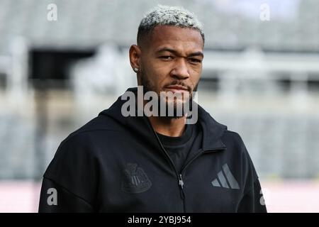 Newcastle, Regno Unito. 19 ottobre 2024. Joelinton of Newcastle United arriva durante la partita di Premier League Newcastle United vs Brighton e Hove Albion al St. James's Park, Newcastle, Regno Unito, 19 ottobre 2024 (foto di Mark Cosgrove/News Images) a Newcastle, Regno Unito il 19/10/2024. (Foto di Mark Cosgrove/News Images/Sipa USA) credito: SIPA USA/Alamy Live News Foto Stock