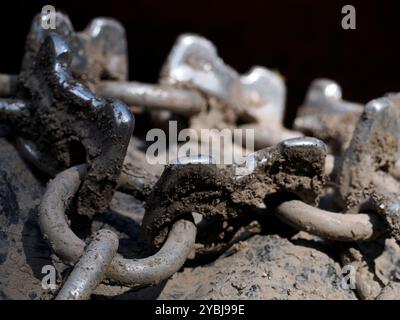 Pneumatici di un trattore con catene per fango. Il dettaglio delle ruote e degli pneumatici del veicolo agricolo. Dotato di catene per pneumatici per la guida nel fango Foto Stock