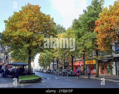 Cornwall Street nel West End di Plymouth con alberi che iniziano a diventare oro. Parcheggio in strada e negozi specializzati. Foto Stock