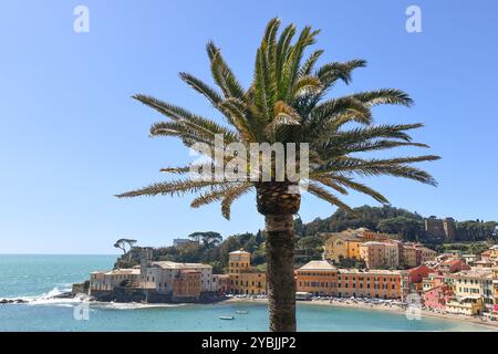 Vista sopraelevata della Baia del silenzio con l'antico borgo di pescatori sul promontorio e una palma in primo piano in primavera, Sestri Levante, Liguria Foto Stock