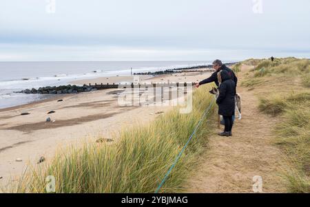 Norfolk, Regno Unito - 14 dicembre 2023. Gente che guarda le foche grigie in inverno a Horsey Gap, Norfolk, Regno Unito Foto Stock