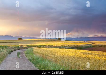 Parco naturale ELS Gallecs, Mollet del Valles, Barcellona, Spagna Foto Stock