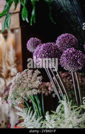 Fiori di allium in eccesso nel negozio di fiori Foto Stock