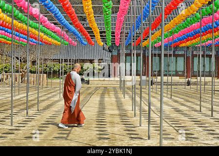 Monaco nel tempio buddista zen di Songgwangsa situato nella provincia di Jeolla del Sud, Corea del Sud. Foto Stock