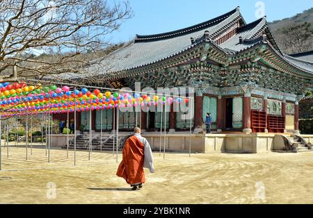 Monaco nel tempio buddista zen di Songgwangsa situato nella provincia di Jeolla del Sud, Corea del Sud. Foto Stock