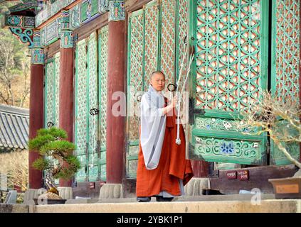 Monaco nel tempio buddista zen di Songgwangsa situato nella provincia di Jeolla del Sud, Corea del Sud. Foto Stock