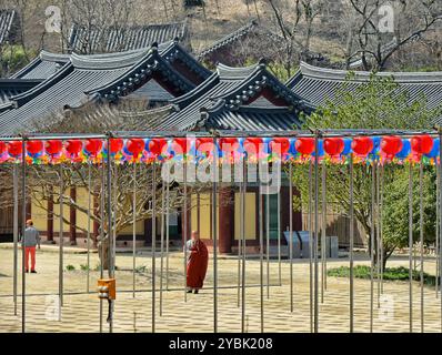 Monaco nel tempio buddista zen di Songgwangsa situato nella provincia di Jeolla del Sud, Corea del Sud. Foto Stock